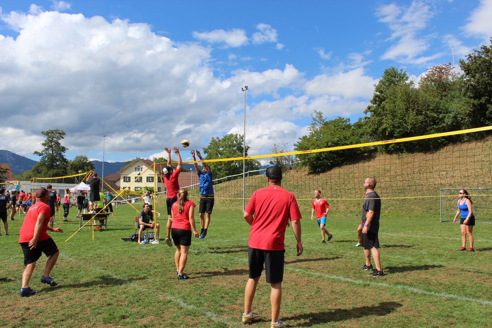 Volley  (98)